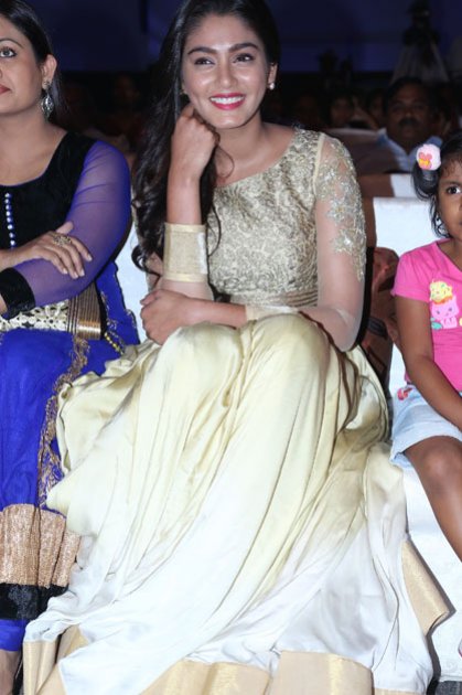 Dikkulu-Choodaku-Ramayya-Movie-Audio-Launch